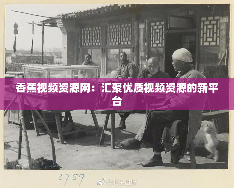 香蕉视频资源网：汇聚优质视频资源的新平台