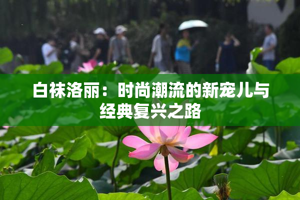 白袜洛丽：时尚潮流的新宠儿与经典复兴之路