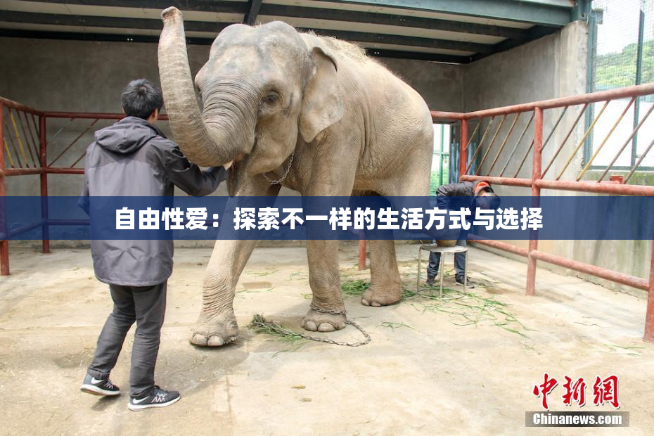 自由性爱：探索不一样的生活方式与选择