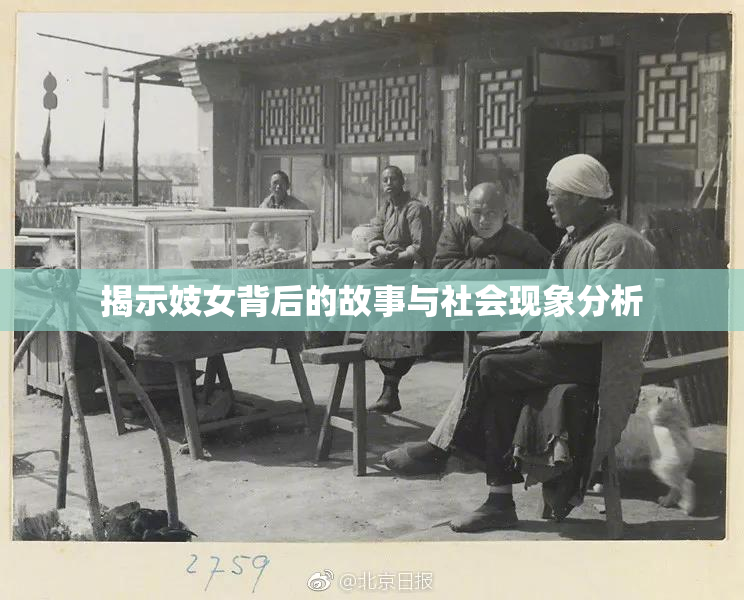 揭示妓女背后的故事与社会现象分析