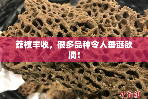 荔枝丰收，很多品种令人垂涎欲滴！