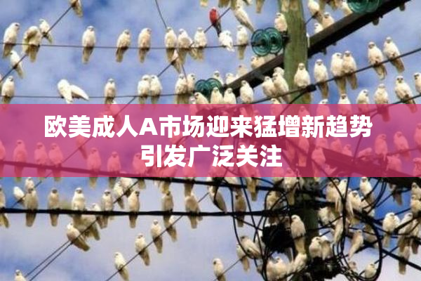 欧美成人A市场迎来猛增新趋势 引发广泛关注