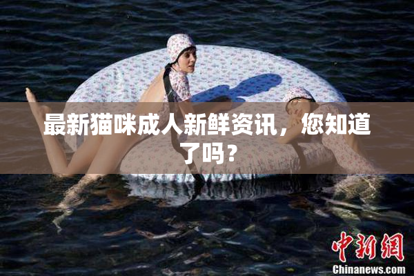 最新猫咪成人新鲜资讯，您知道了吗？