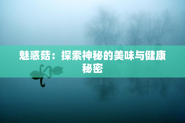 魅惑菇：探索神秘的美味与健康秘密