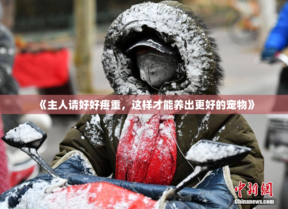 《主人请好好疼重，这样才能养出更好的宠物》