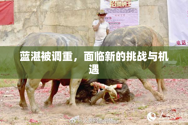 蓝湛被调重，面临新的挑战与机遇
