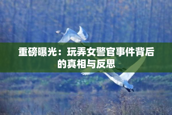 重磅曝光：玩弄女警官事件背后的真相与反思