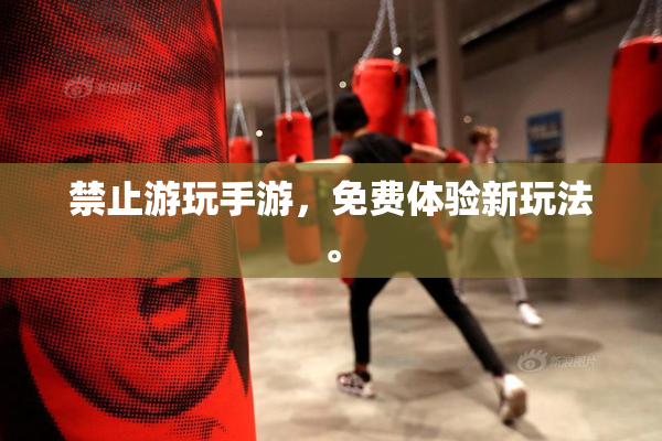 禁止游玩手游，免费体验新玩法。