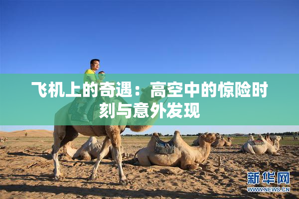 飞机上的奇遇：高空中的惊险时刻与意外发现