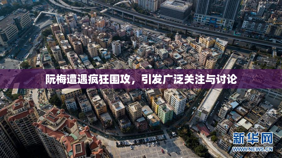 阮梅遭遇疯狂围攻，引发广泛关注与讨论