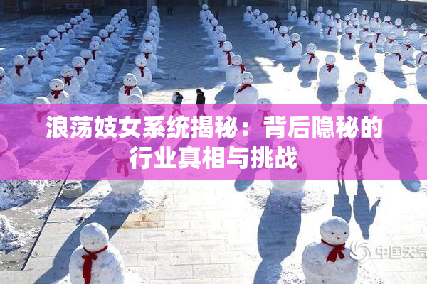 浪荡妓女系统揭秘：背后隐秘的行业真相与挑战