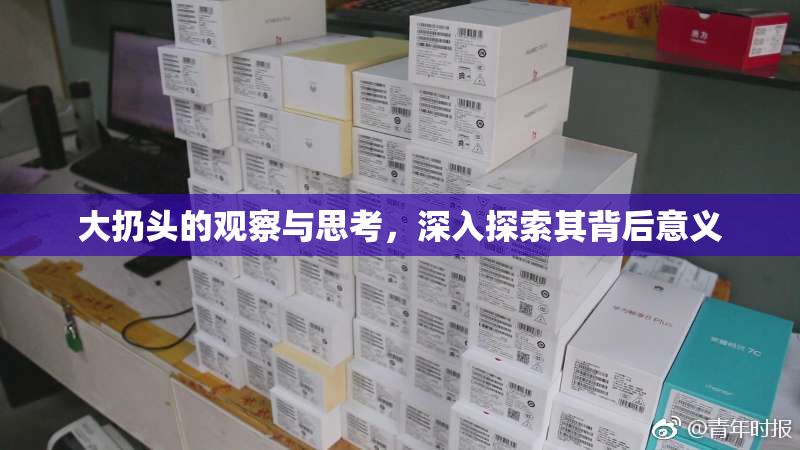 大扔头的观察与思考，深入探索其背后意义