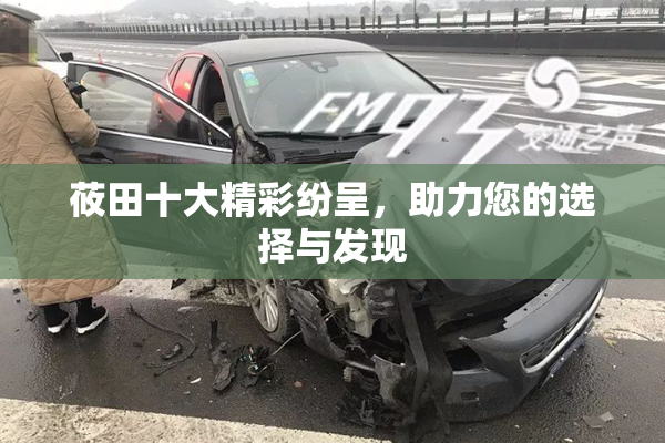 莜田十大精彩纷呈，助力您的选择与发现