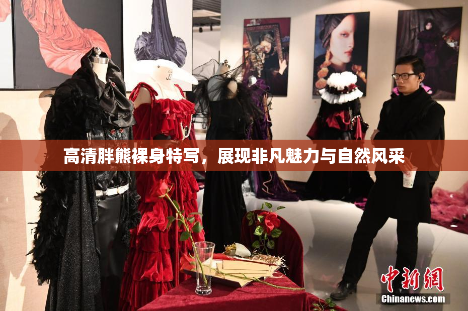 高清胖熊裸身特写，展现非凡魅力与自然风采