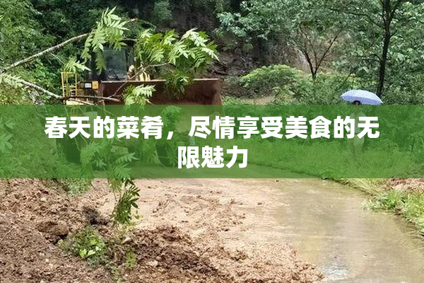 春天的菜肴，尽情享受美食的无限魅力