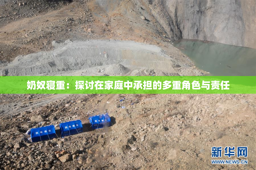 奶奴寝重：探讨在家庭中承担的多重角色与责任