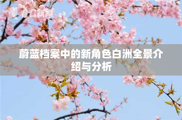 蔚蓝档案中的新角色白洲全景介绍与分析