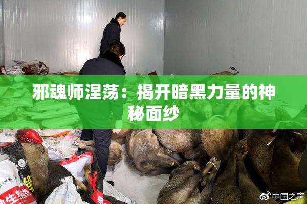 邪魂师涅荡：揭开暗黑力量的神秘面纱