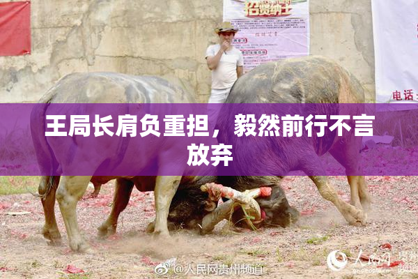 王局长肩负重担，毅然前行不言放弃