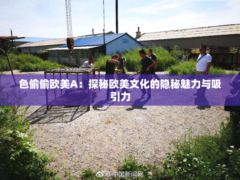 色偷偷欧美A：探秘欧美文化的隐秘魅力与吸引力
