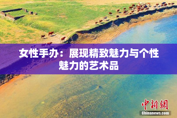女性手办：展现精致魅力与个性魅力的艺术品