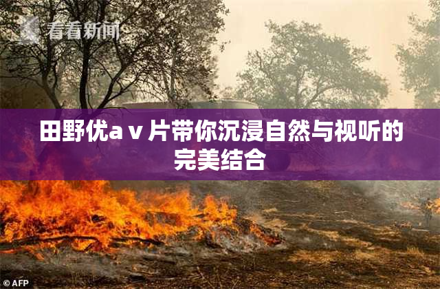田野优aⅴ片带你沉浸自然与视听的完美结合