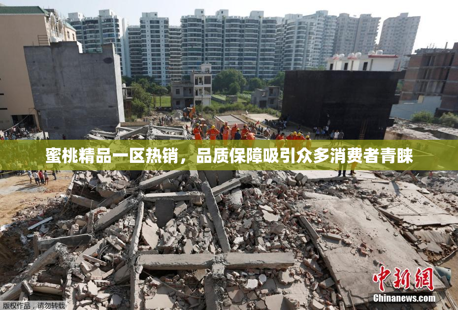 蜜桃精品一区热销，品质保障吸引众多消费者青睐