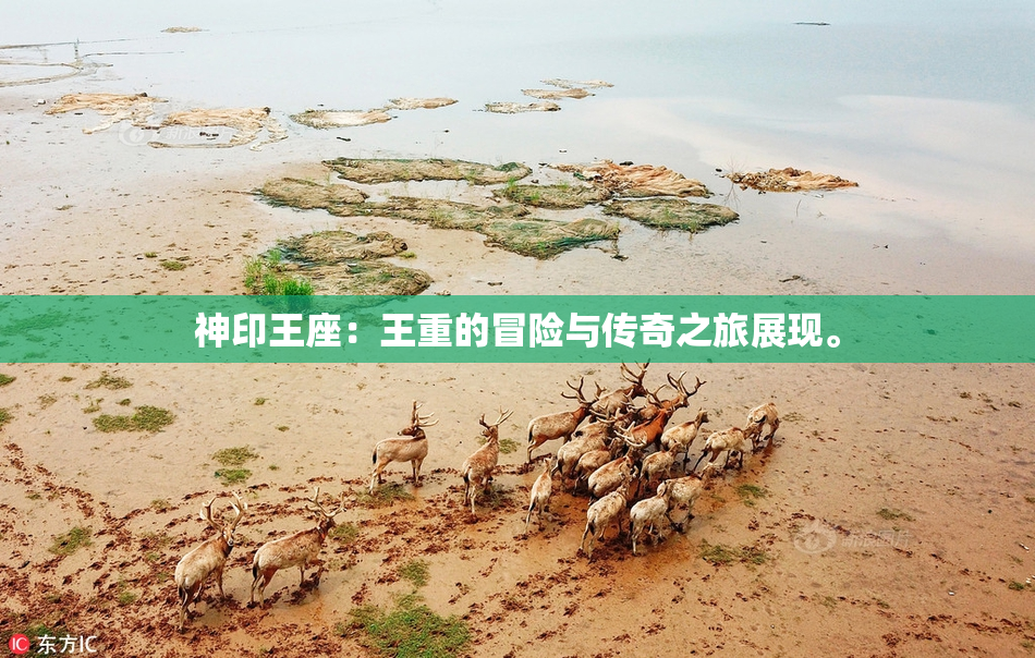 神印王座：王重的冒险与传奇之旅展现。
