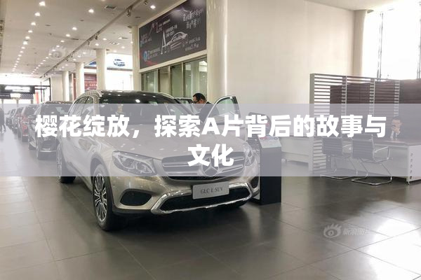 樱花绽放，探索A片背后的故事与文化