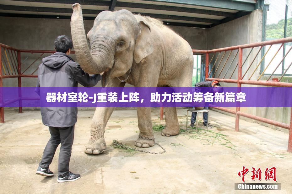 器材室轮-J重装上阵，助力活动筹备新篇章