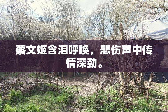 蔡文姬含泪呼唤，悲伤声中传情深劲。
