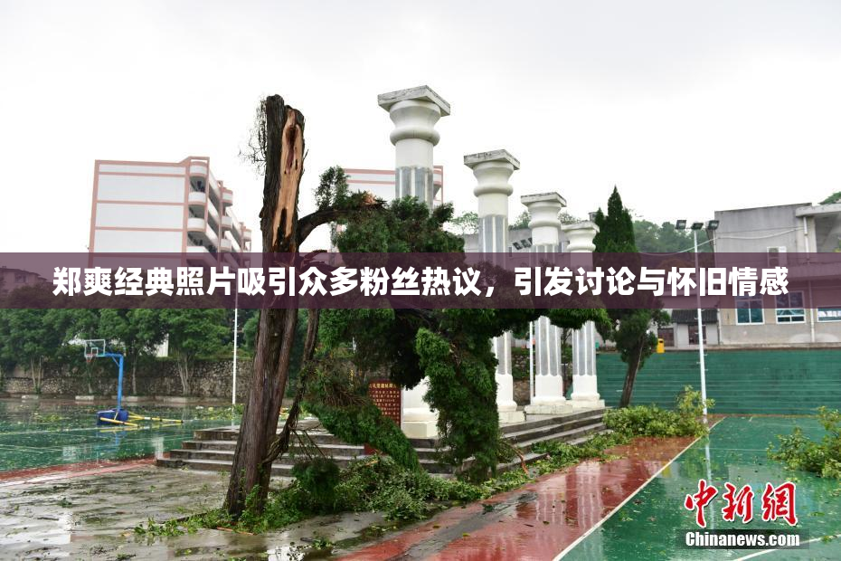 郑爽经典照片吸引众多粉丝热议，引发讨论与怀旧情感