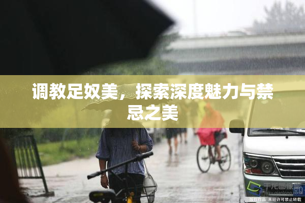 调教足奴美，探索深度魅力与禁忌之美