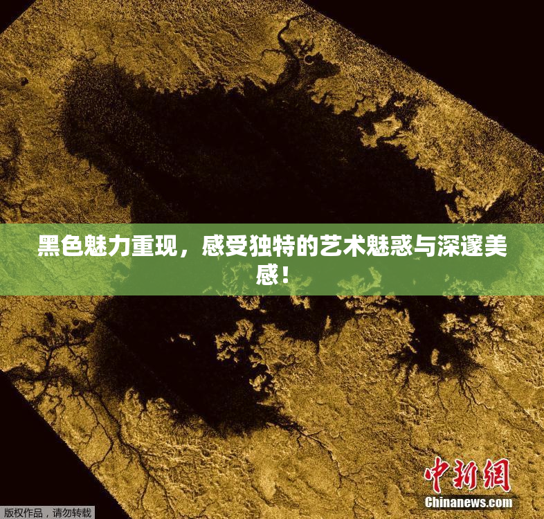 黑色魅力重现，感受独特的艺术魅惑与深邃美感！