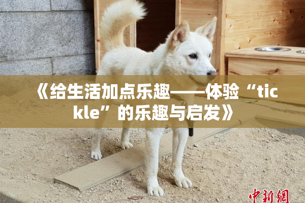 《给生活加点乐趣——体验“tickle”的乐趣与启发》