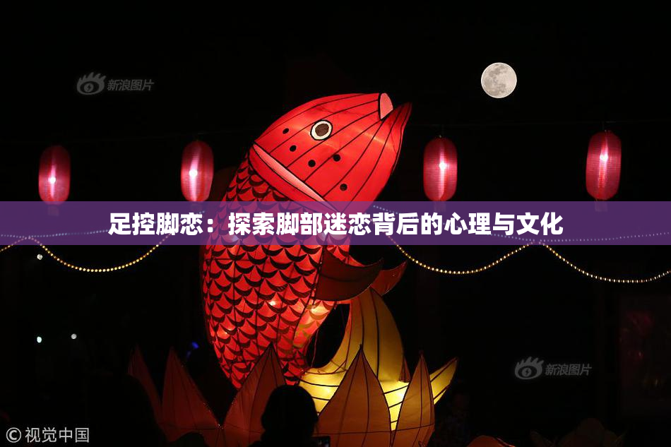 足控脚恋：探索脚部迷恋背后的心理与文化