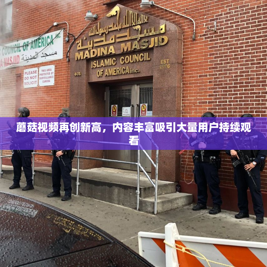 蘑菇视频再创新高，内容丰富吸引大量用户持续观看