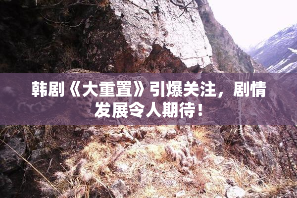 韩剧《大重置》引爆关注，剧情发展令人期待！