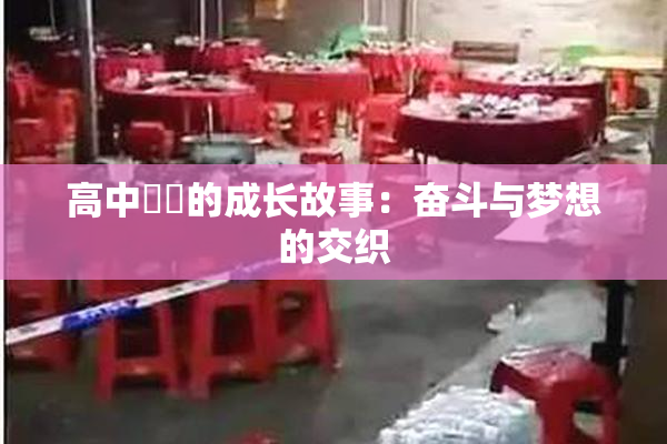 高中妺妺的成长故事：奋斗与梦想的交织