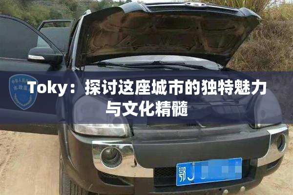 Toky：探讨这座城市的独特魅力与文化精髓