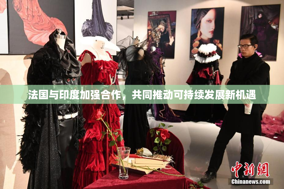 法国与印度加强合作，共同推动可持续发展新机遇