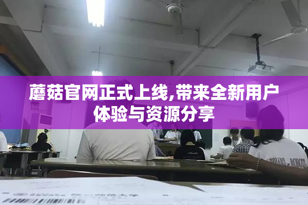 蘑菇官网正式上线,带来全新用户体验与资源分享