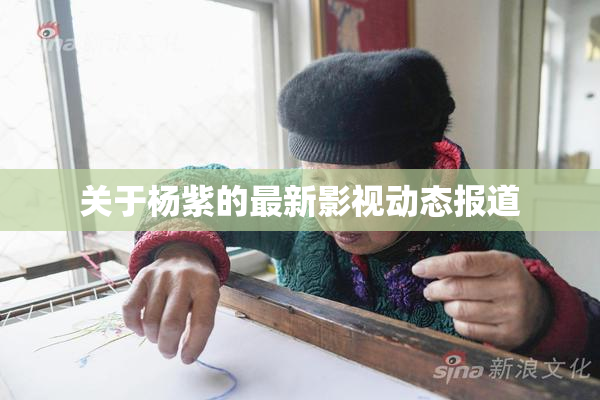 关于杨紫的最新影视动态报道