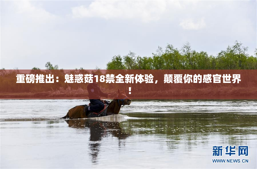 重磅推出：魅惑菇18禁全新体验，颠覆你的感官世界！