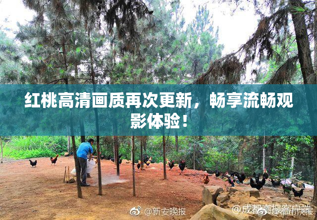 红桃高清画质再次更新，畅享流畅观影体验！