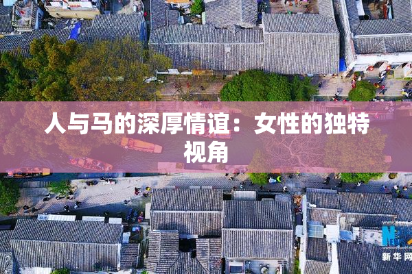 人与马的深厚情谊：女性的独特视角