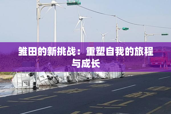 雏田的新挑战：重塑自我的旅程与成长