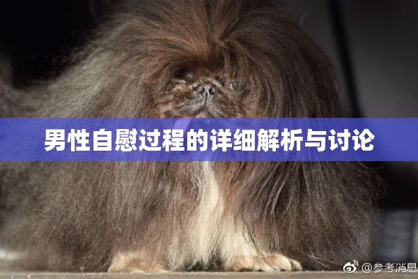 男性自慰过程的详细解析与讨论
