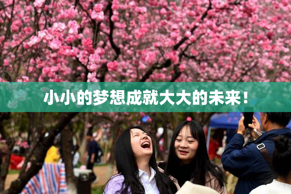 小小的梦想成就大大的未来！