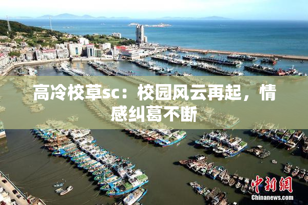 高冷校草sc：校园风云再起，情感纠葛不断